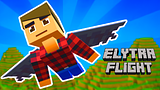 Elytra Flight