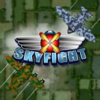Skyfight.io